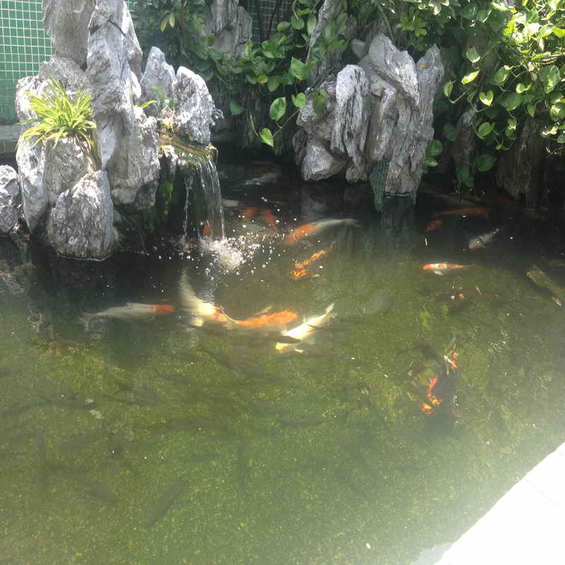 金震膠粘廠外景